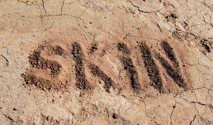 Skin on earth