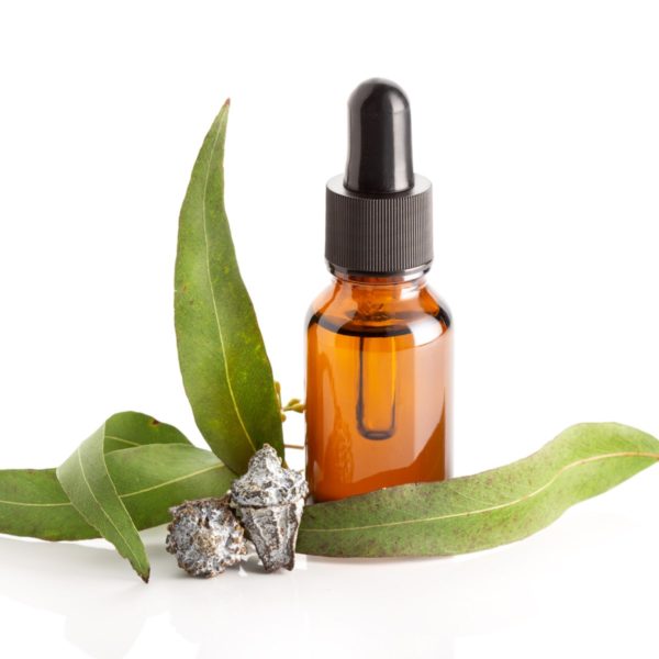 Eucalyptus Essential Oil Benefits.