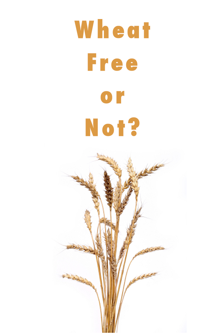 bunch of golden wheat isolated on white background