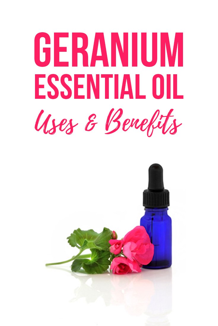 Geranium Essential Oil: Uses & Health Benefits