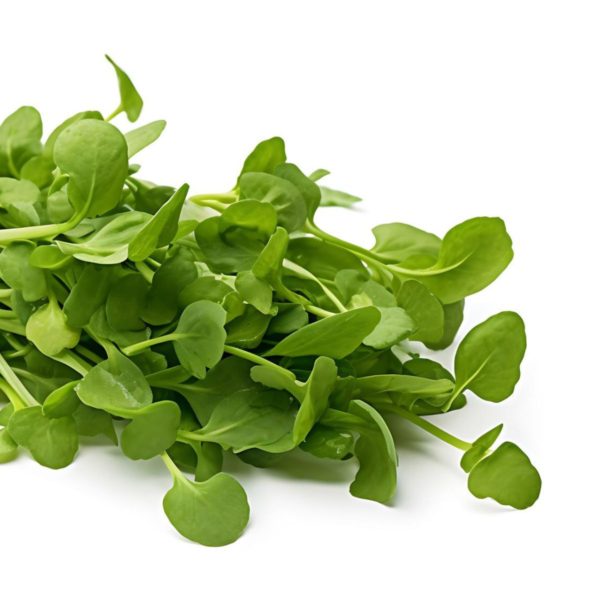 Watercress Vegetable